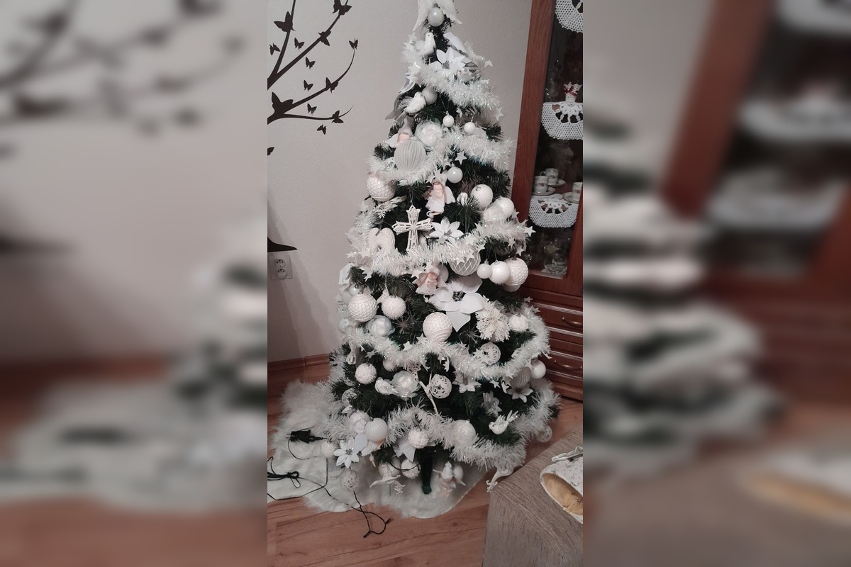 FOTO: Vianočné stromčeky Bratislavčanov, foto 43