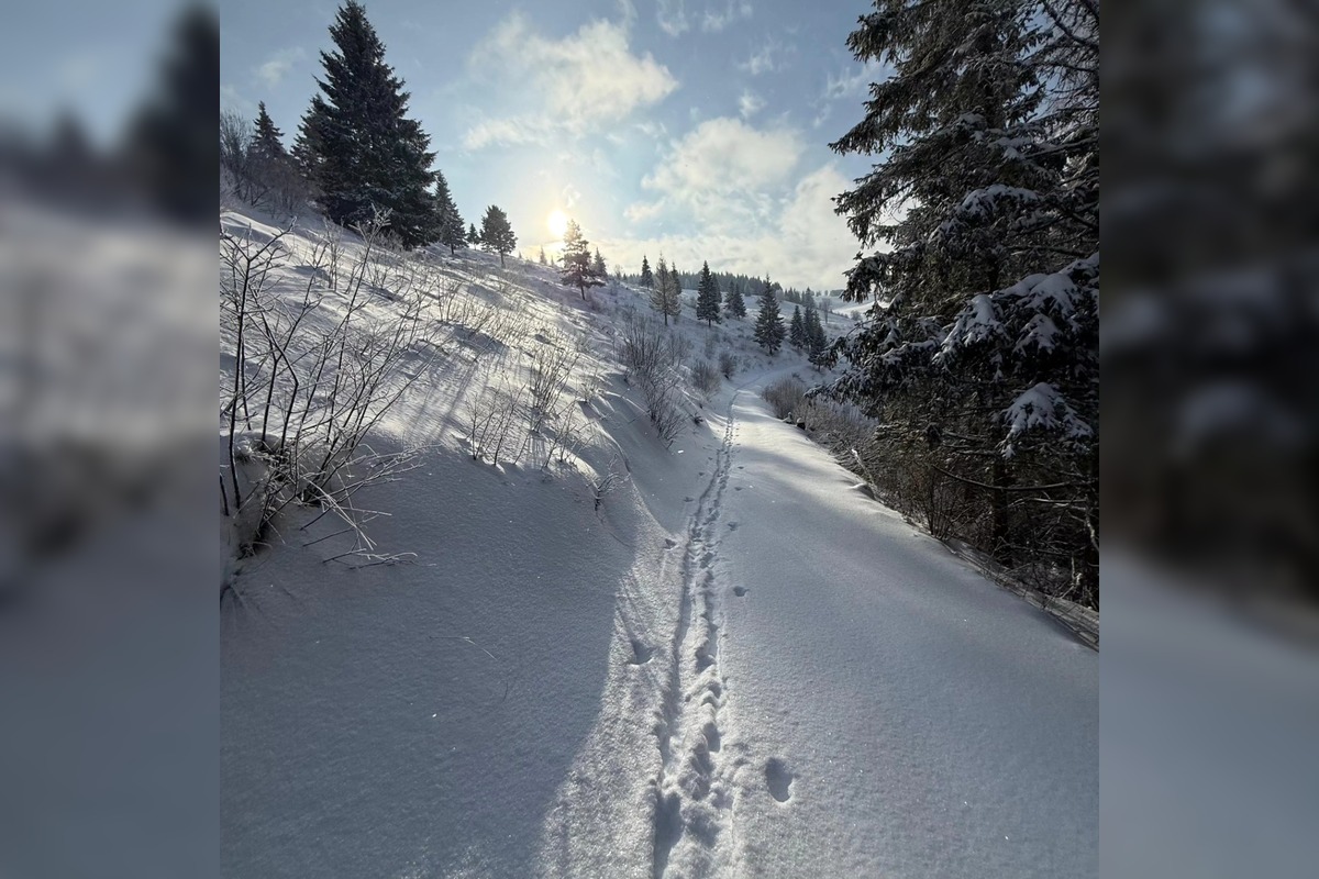 FOTO: Poslanci František Majerský a Milan Majerský na svahu, foto 4
