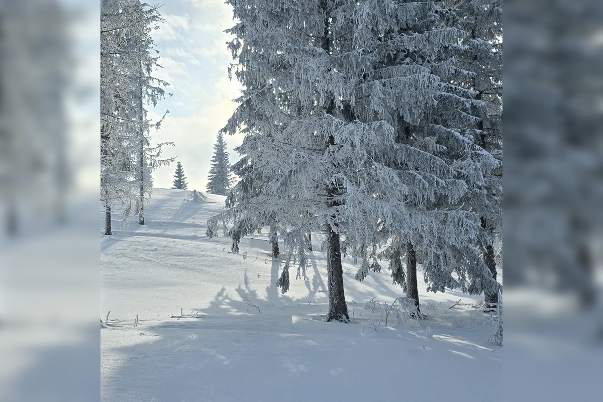 FOTO: Poslanci František Majerský a Milan Majerský na svahu, foto 6