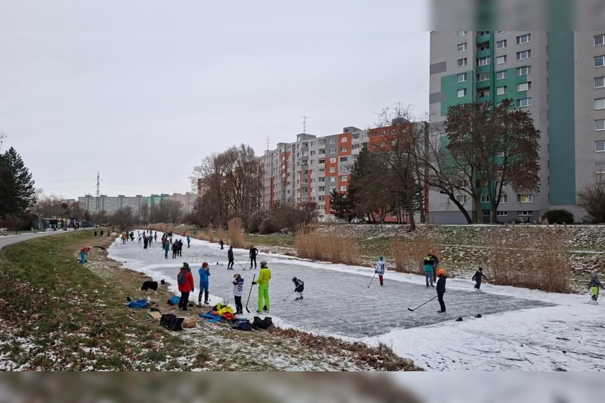 FOTO: Rybníky a vodné plochy v Bratislave zamrzli, foto 1