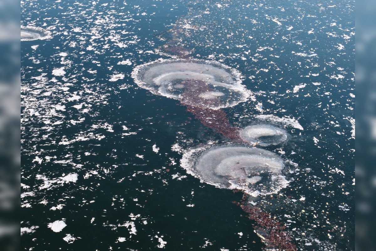 FOTO: Rybníky a vodné plochy v Bratislave zamrzli, foto 5