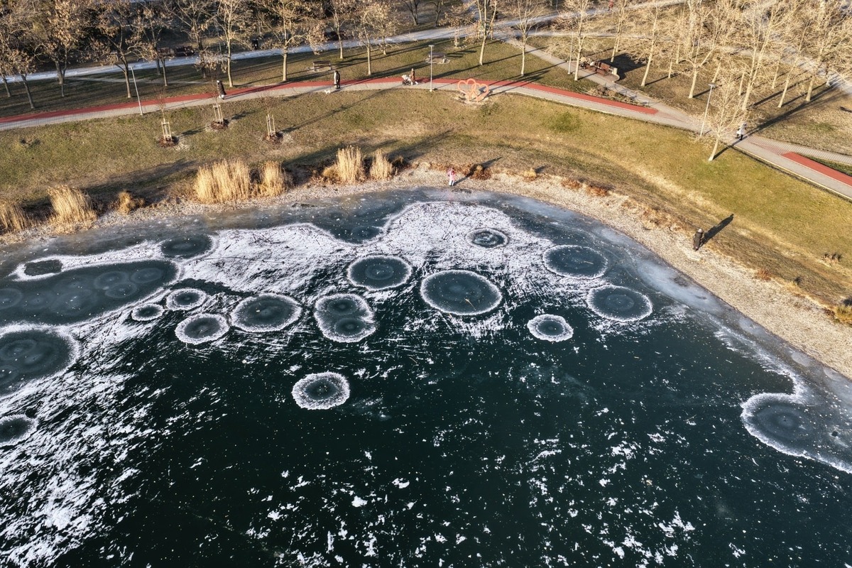 FOTO: Rybníky a vodné plochy v Bratislave zamrzli, foto 6