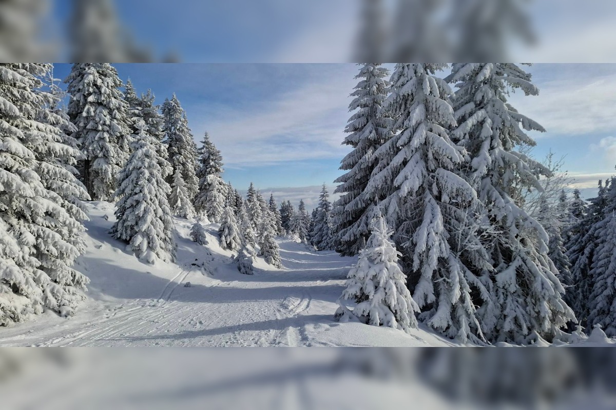 FOTO: Najkrajšie zimné scenérie, aké Slovensko ponúka, foto 7