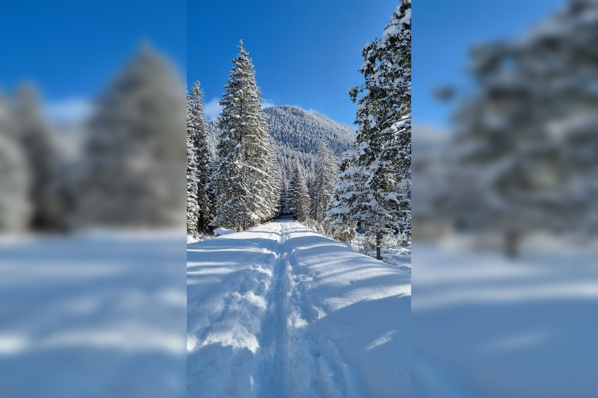 FOTO: Najkrajšie zimné scenérie, aké Slovensko ponúka, foto 9