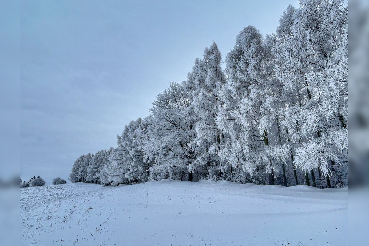 FOTO: Najkrajšie zimné scenérie, aké Slovensko ponúka, foto 10