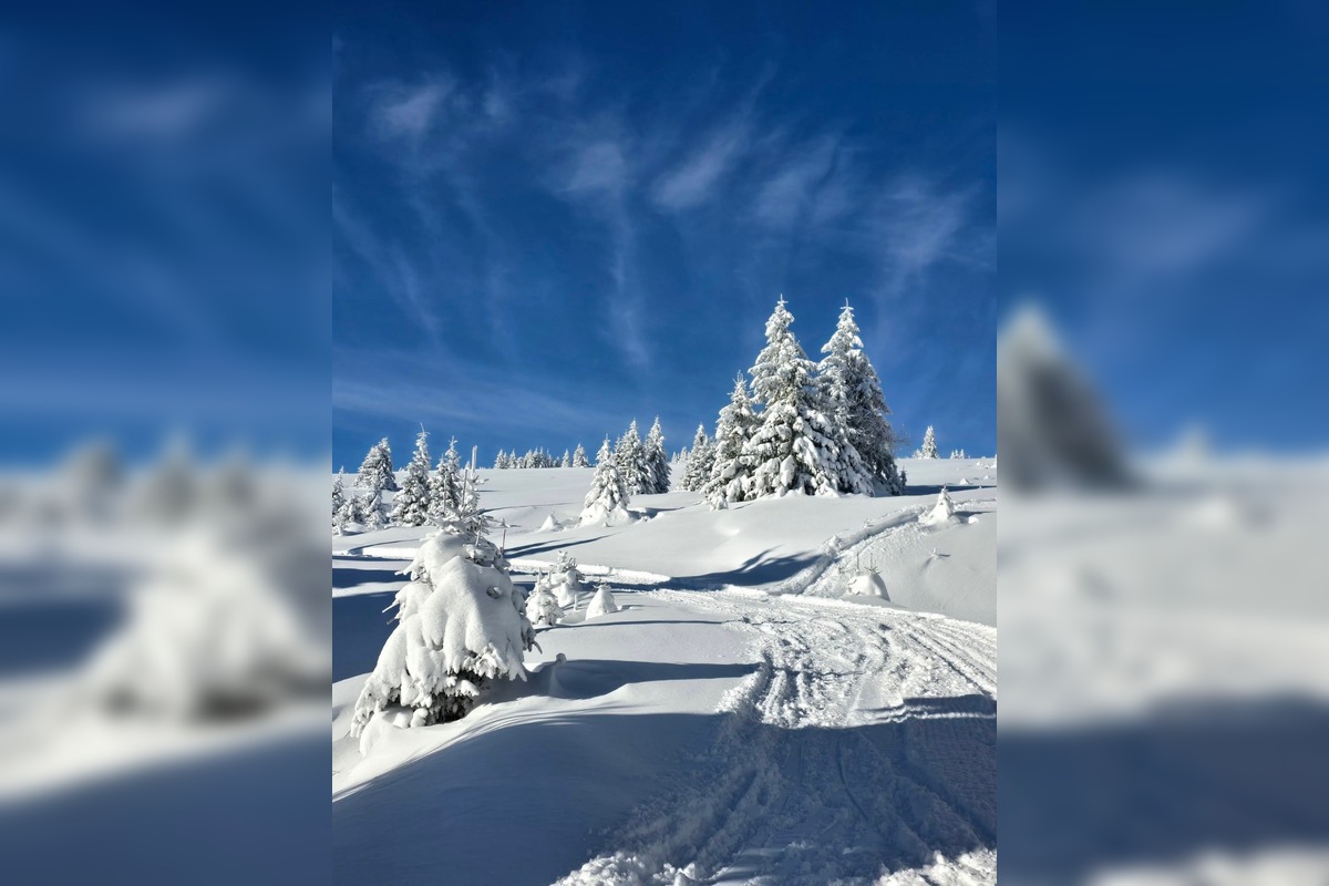 FOTO: Najkrajšie zimné scenérie, aké Slovensko ponúka, foto 16