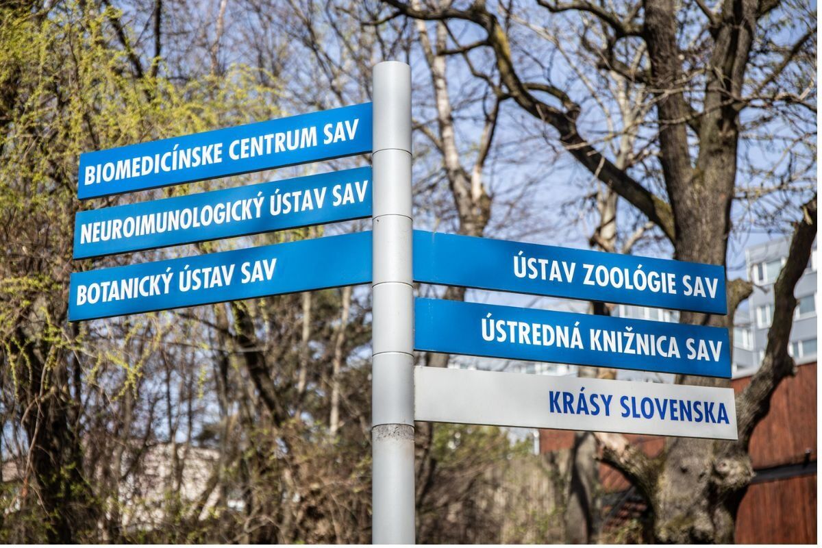 FOTO: SAV v Bratislave čaká veľká rekonštrukcia. Vedecký ústav sa zmení na kampus budúcnosti, foto 3