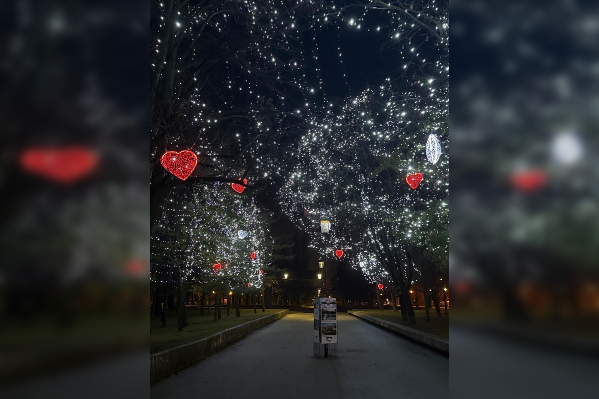 FOTO: Valentínska výzdoba v parku A. Hlinku, foto 2