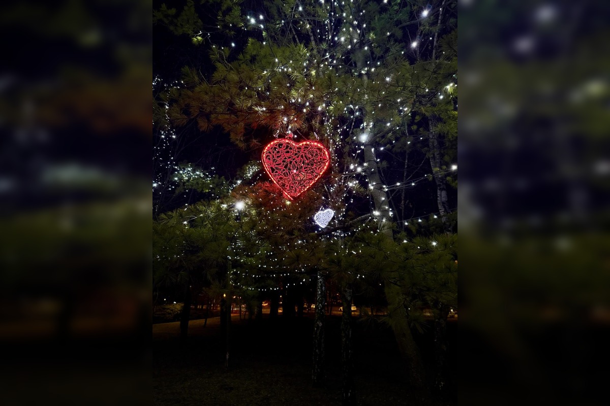 FOTO: Valentínska výzdoba v parku A. Hlinku, foto 4