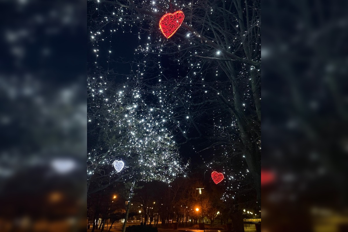 FOTO: Valentínska výzdoba v parku A. Hlinku, foto 5