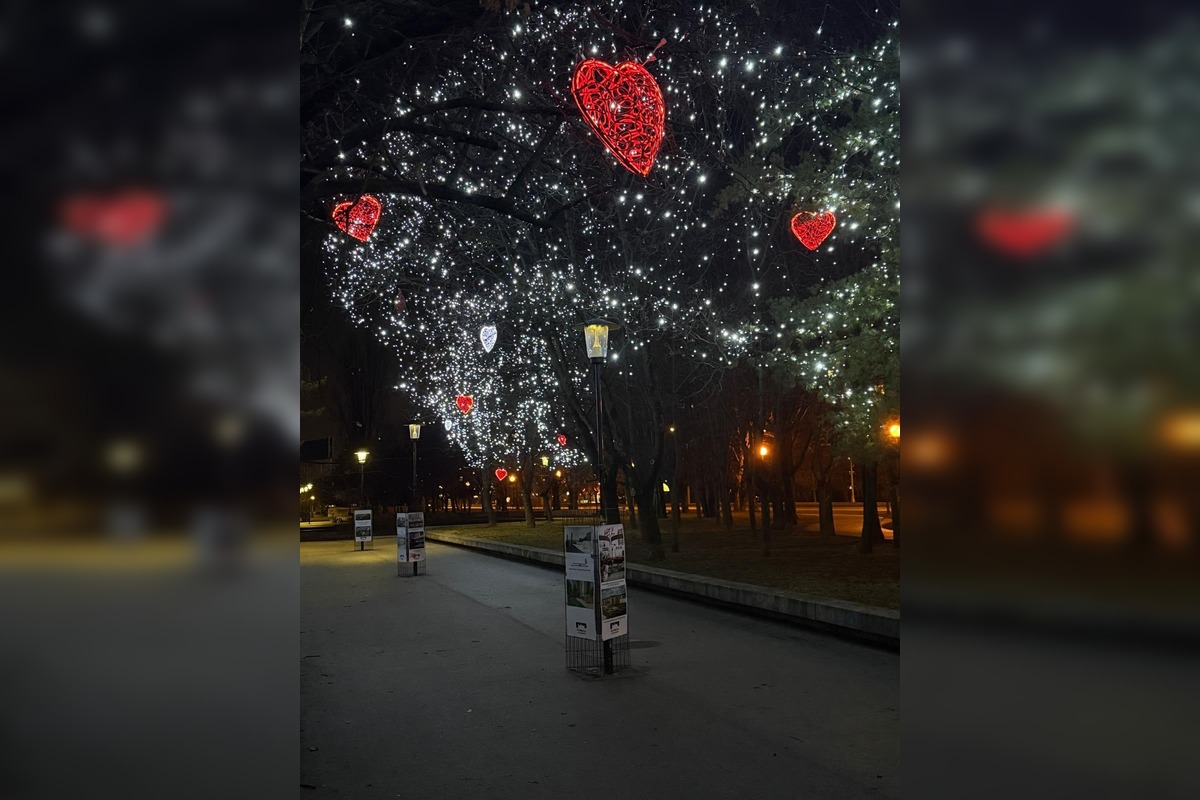 FOTO: Valentínska výzdoba v parku A. Hlinku, foto 6