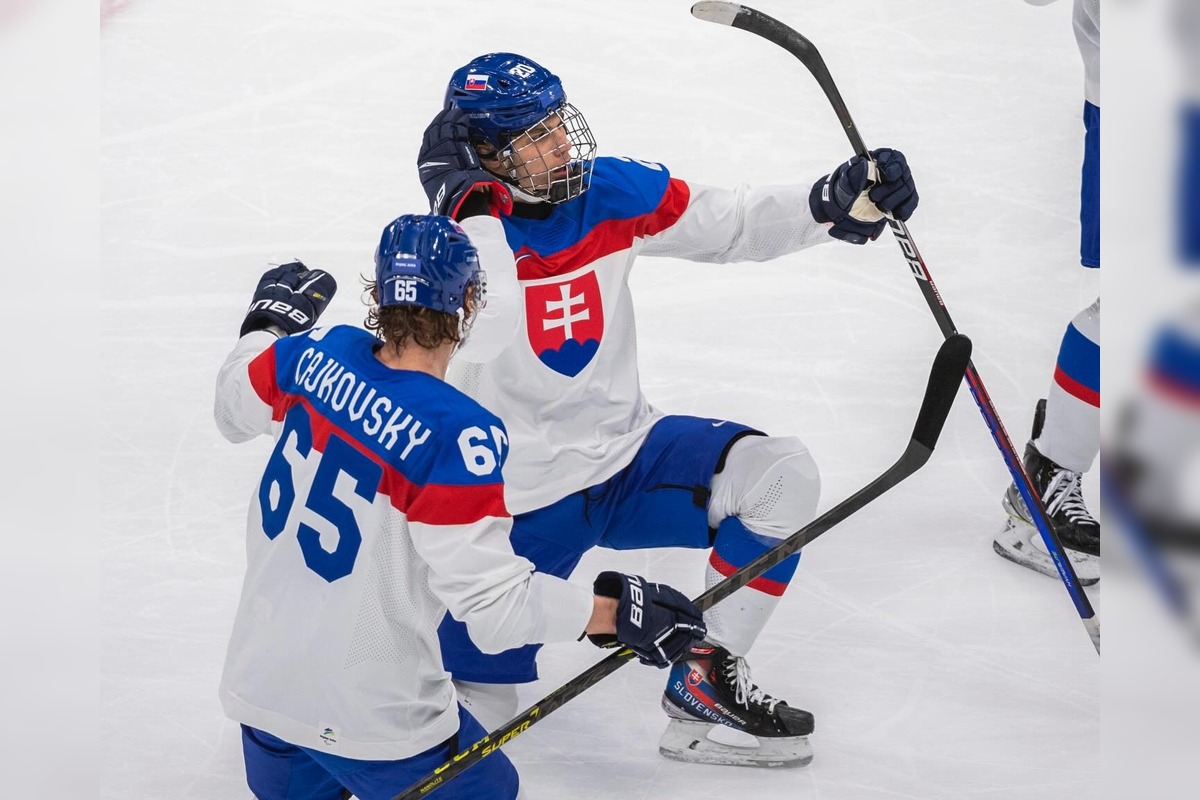 FOTO: K Slafkovskému pridali foto slovinskej vlajky, foto 3