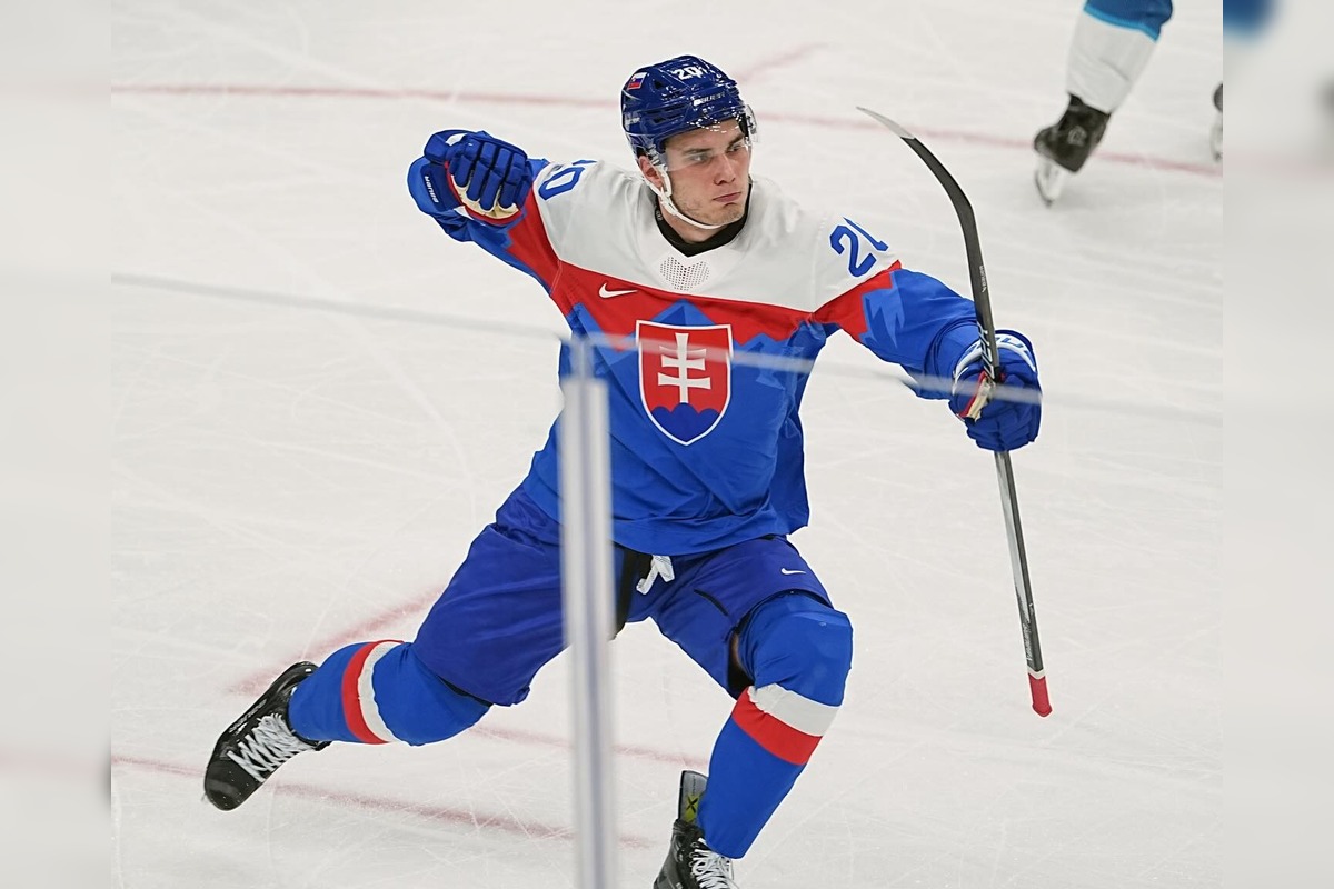 FOTO: K Slafkovskému pridali foto slovinskej vlajky, foto 5