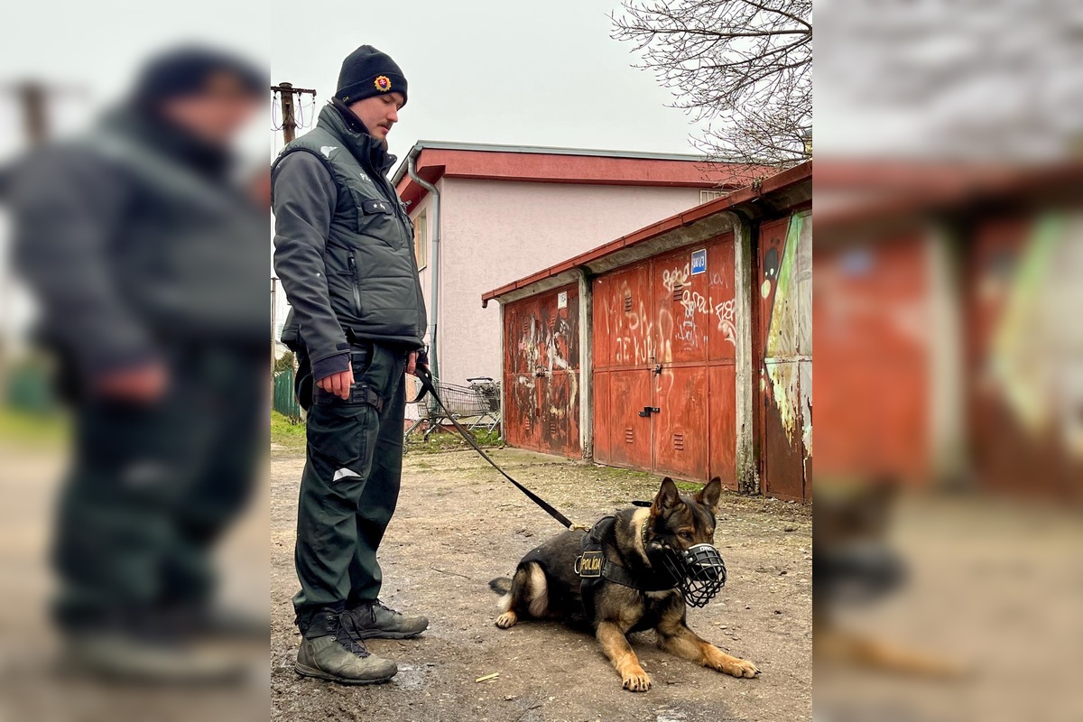 FOTO: Viac ako 700 skontrolovaných ľudí za jeden deň. Bratislavská polícia vypátrala 4 osoby, foto 8
