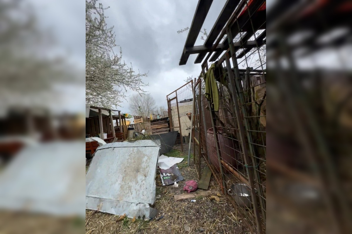 FOTO: Štátna veterinárna správa zasiahla proti chovateľke na Záhorí, foto 5