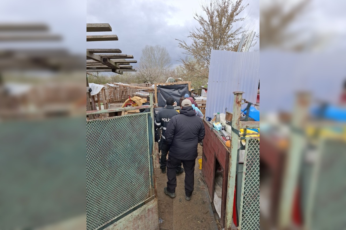 FOTO: Policajti ratovali týraných psov. V Záhorskej Vsi odoberali žene 56 psov osem hodín, foto 1