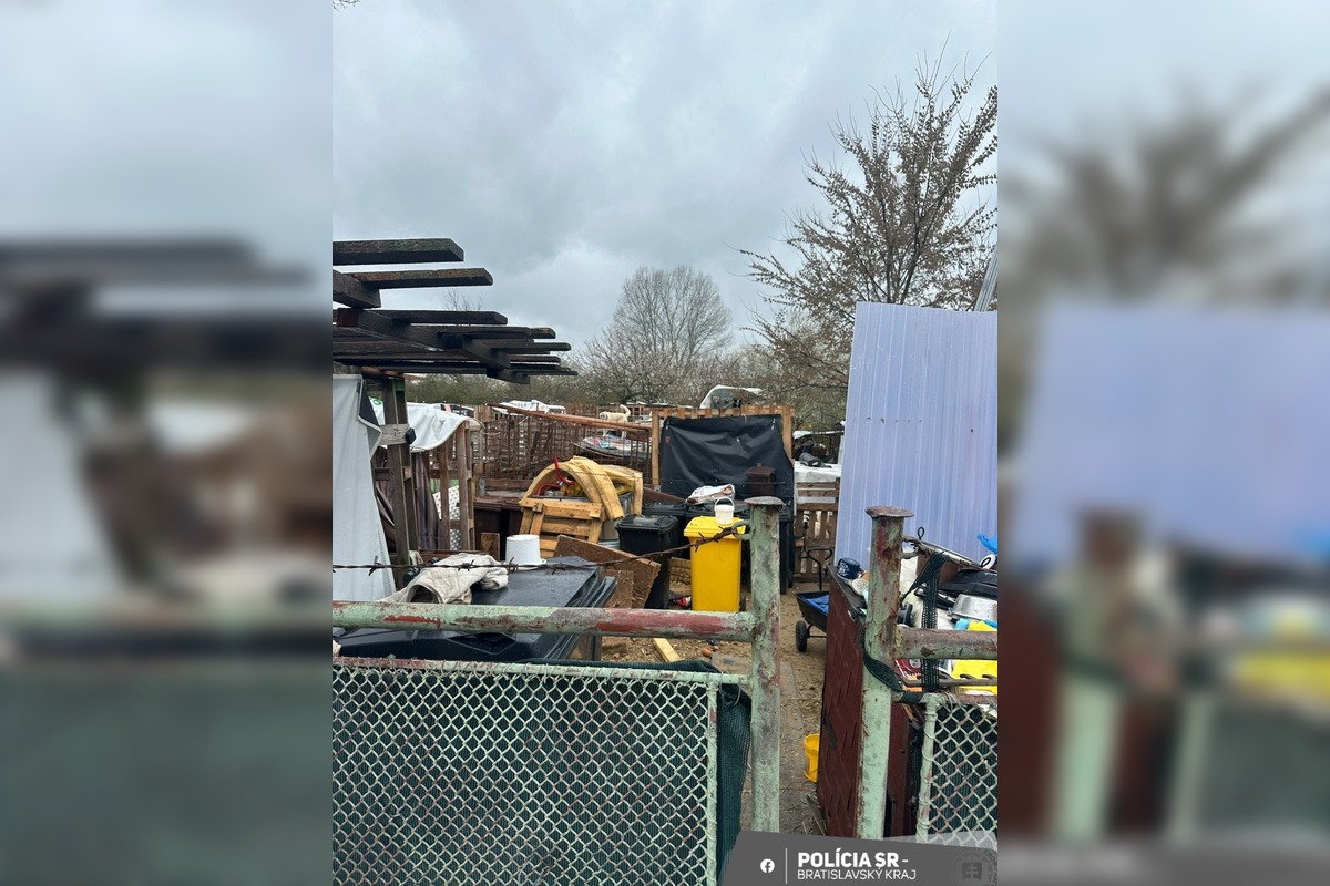 FOTO: Policajti ratovali týraných psov. V Záhorskej Vsi odoberali žene 56 psov osem hodín, foto 3