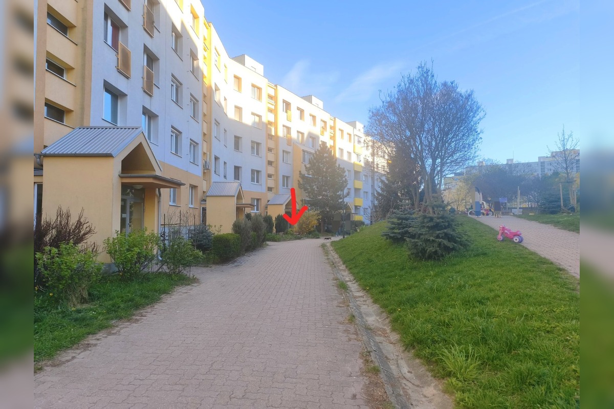 FOTO: Žena z Karlovej Vsi ponúka odrezky figovníka celkom zadarmo. Tu si pre ne môžete prísť, foto 1