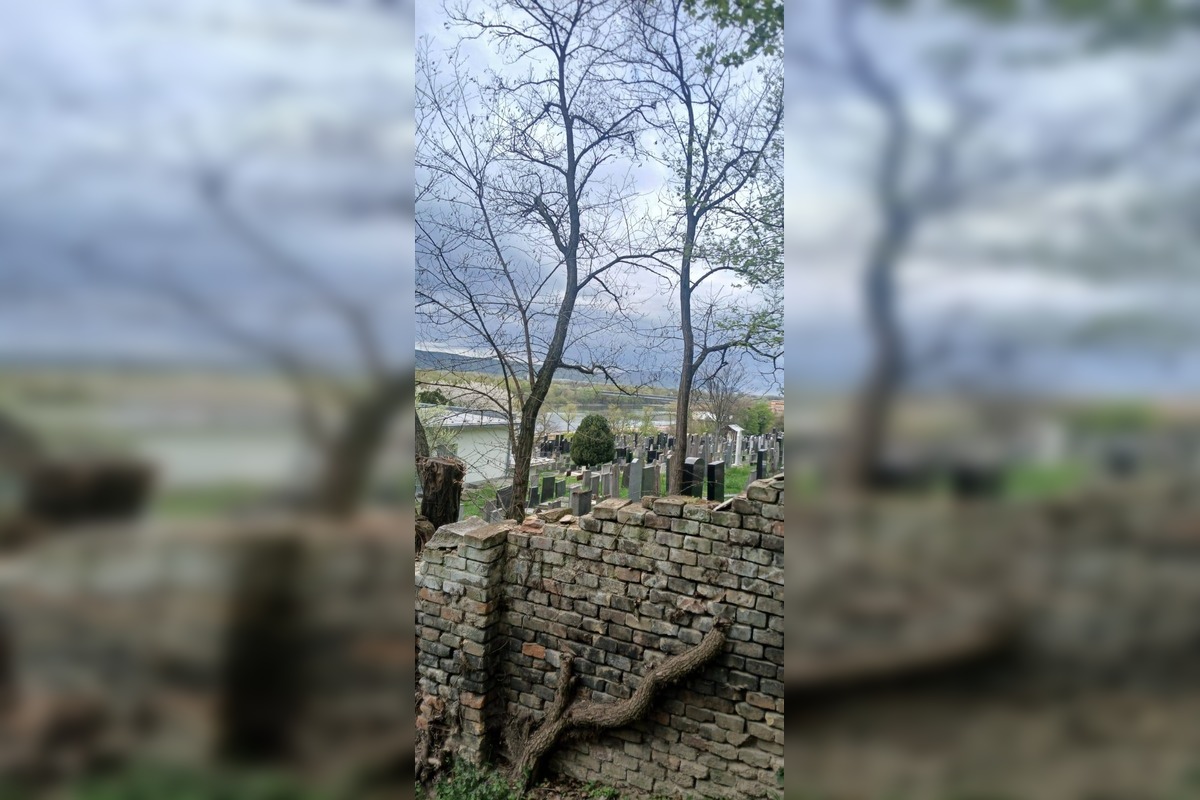 FOTO: Bratislavou sa šíria reči o zavretí Mikulášskeho cintorína. Aká je pravda? , foto 2