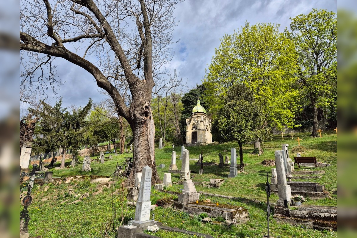 FOTO: Bratislavou sa šíria reči o zavretí Mikulášskeho cintorína. Aká je pravda? , foto 3