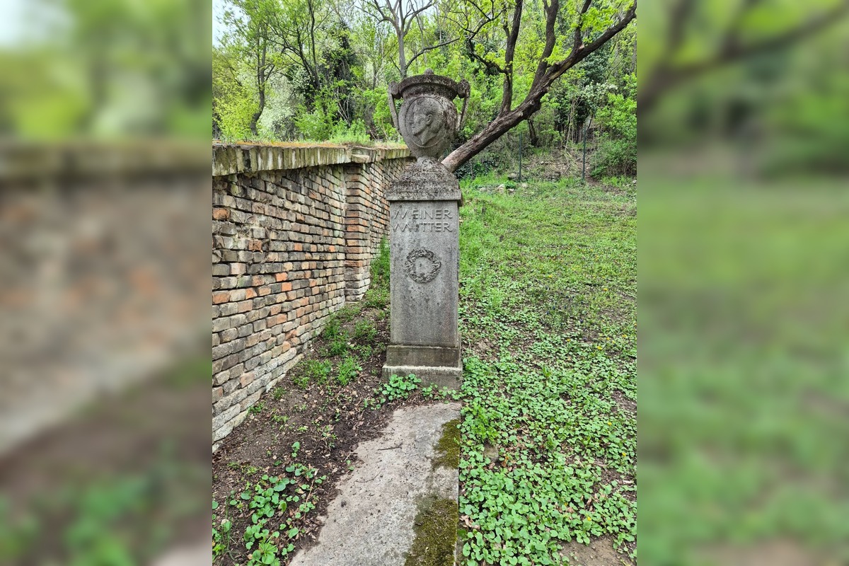 FOTO: Bratislavou sa šíria reči o zavretí Mikulášskeho cintorína. Aká je pravda? , foto 4