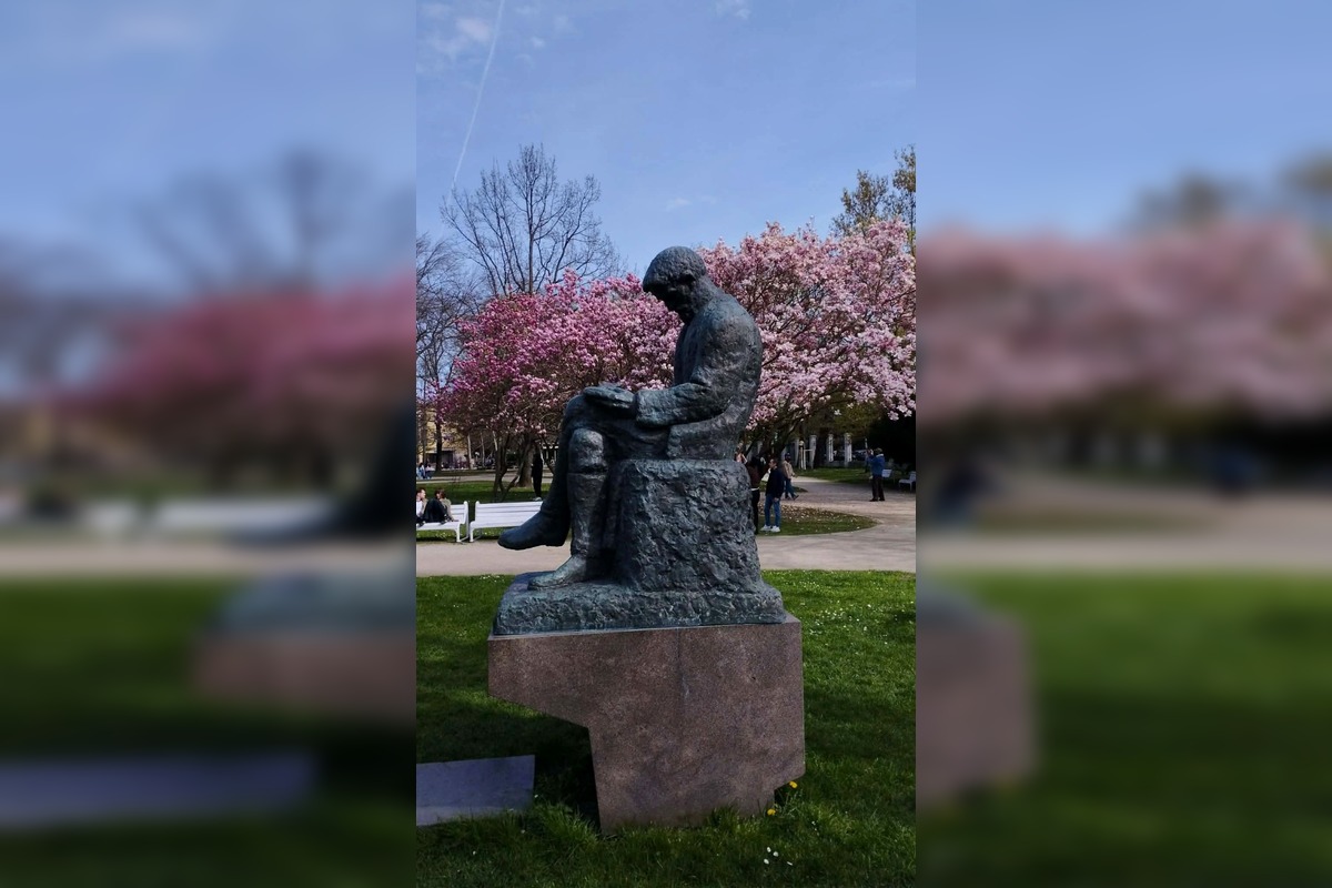 FOTO: Najkrajšie magnólie v Bratislave a okolí, foto 1