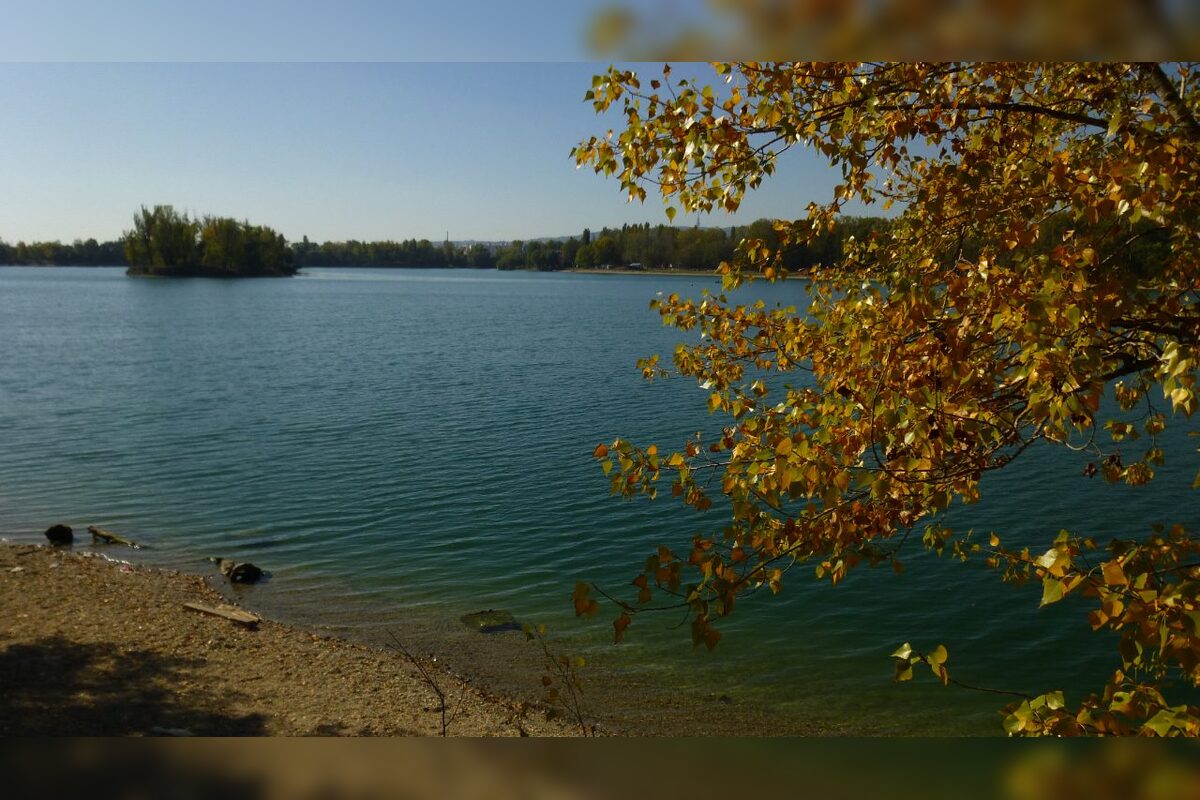 FOTO: Bratislavčania prezradili, kde najradšej trávia svoje voľné chvíle. Väčšina uteká do prírody k hrádzi či do lesa, foto 5