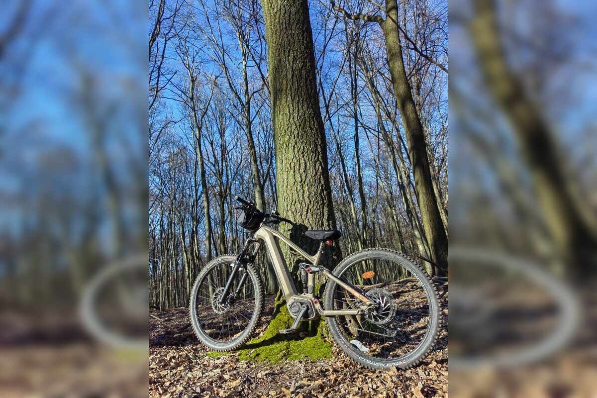 FOTO: Bratislavčania prezradili, kde najradšej trávia svoje voľné chvíle. Väčšina uteká do prírody k hrádzi či do lesa, foto 7