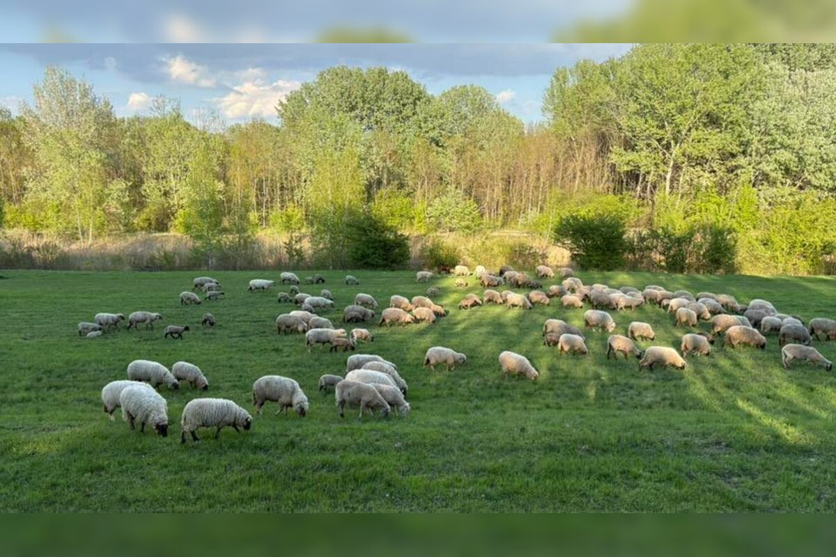 FOTO: Bratislavčania prezradili, kde najradšej trávia svoje voľné chvíle. Väčšina uteká do prírody k hrádzi či do lesa, foto 8
