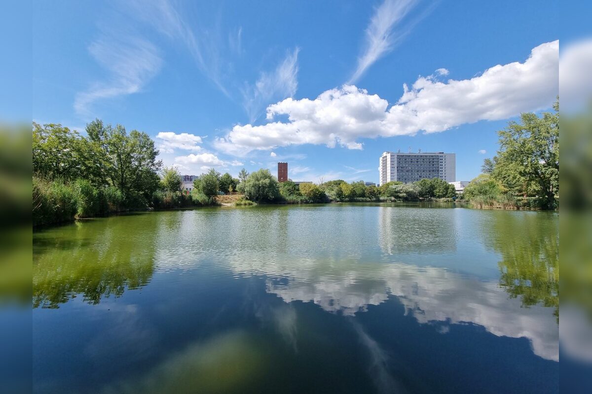 FOTO: Ružinovský Rohlík prejde výraznou zmenou. Jazero dostane krásny park, foto 4