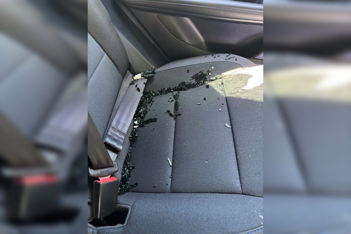 FOTO: Vyhrážajú sa jej a zdemolovali jej auto. Vraciame sa do 90. rokov? pýta sa Petková, foto 2