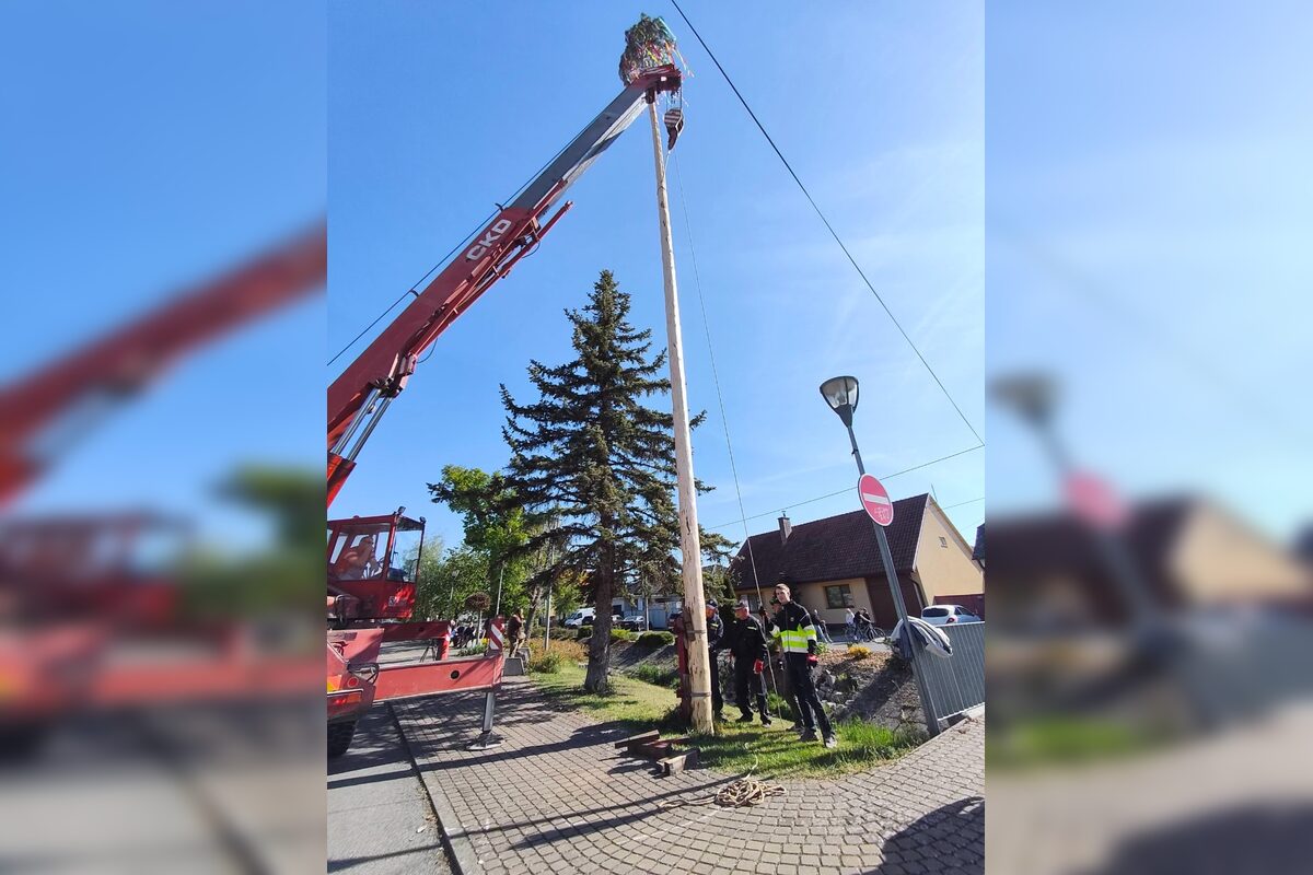 FOTO: Takto vyzeralo stavanie májov v Bratislavskom kraji, foto 4