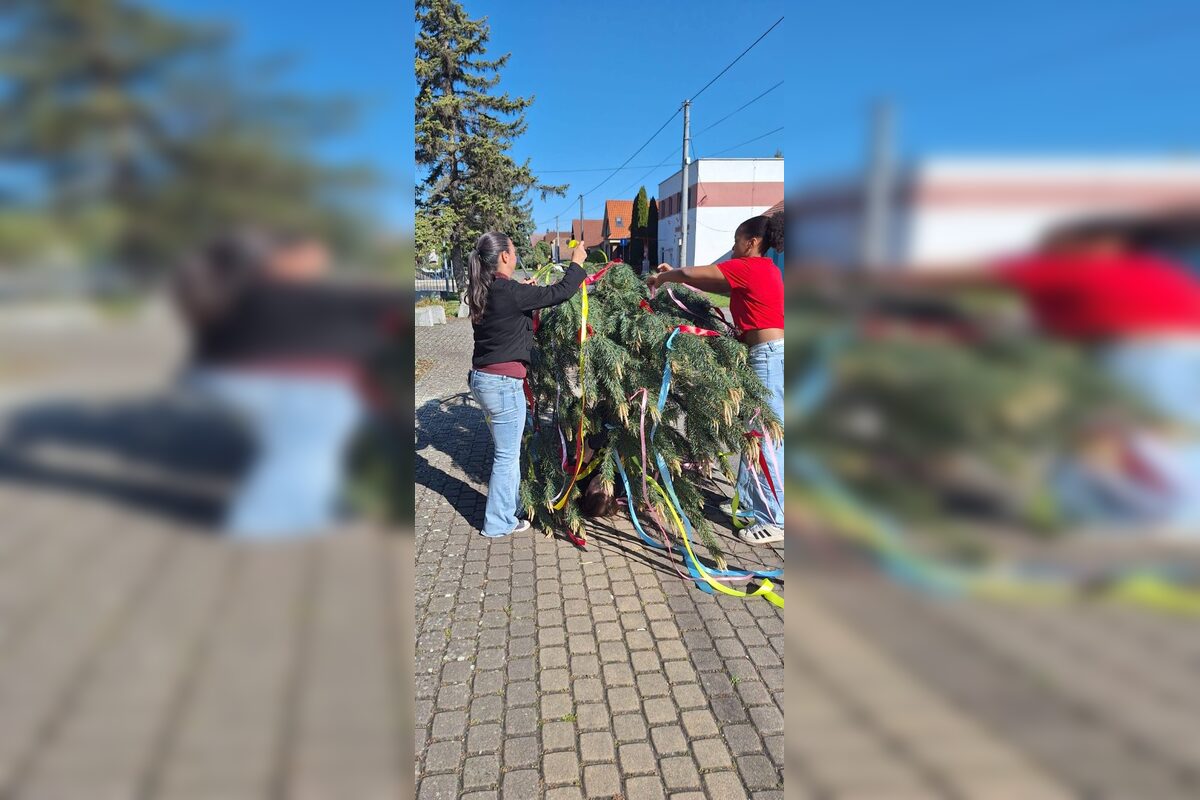 FOTO: Takto vyzeralo stavanie májov v Bratislavskom kraji, foto 5