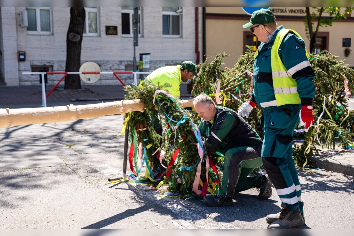 FOTO: Takto vyzeralo stavanie májov v Bratislavskom kraji, foto 22
