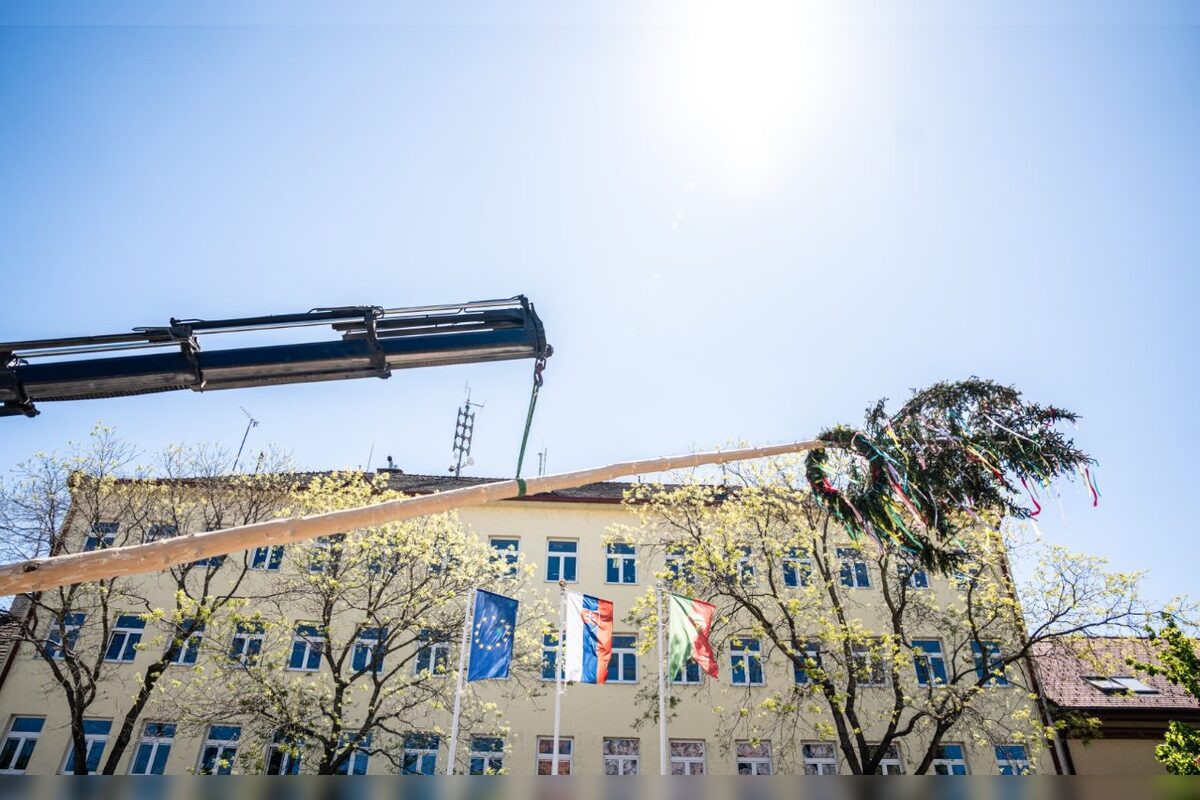 FOTO: Takto vyzeralo stavanie májov v Bratislavskom kraji, foto 27