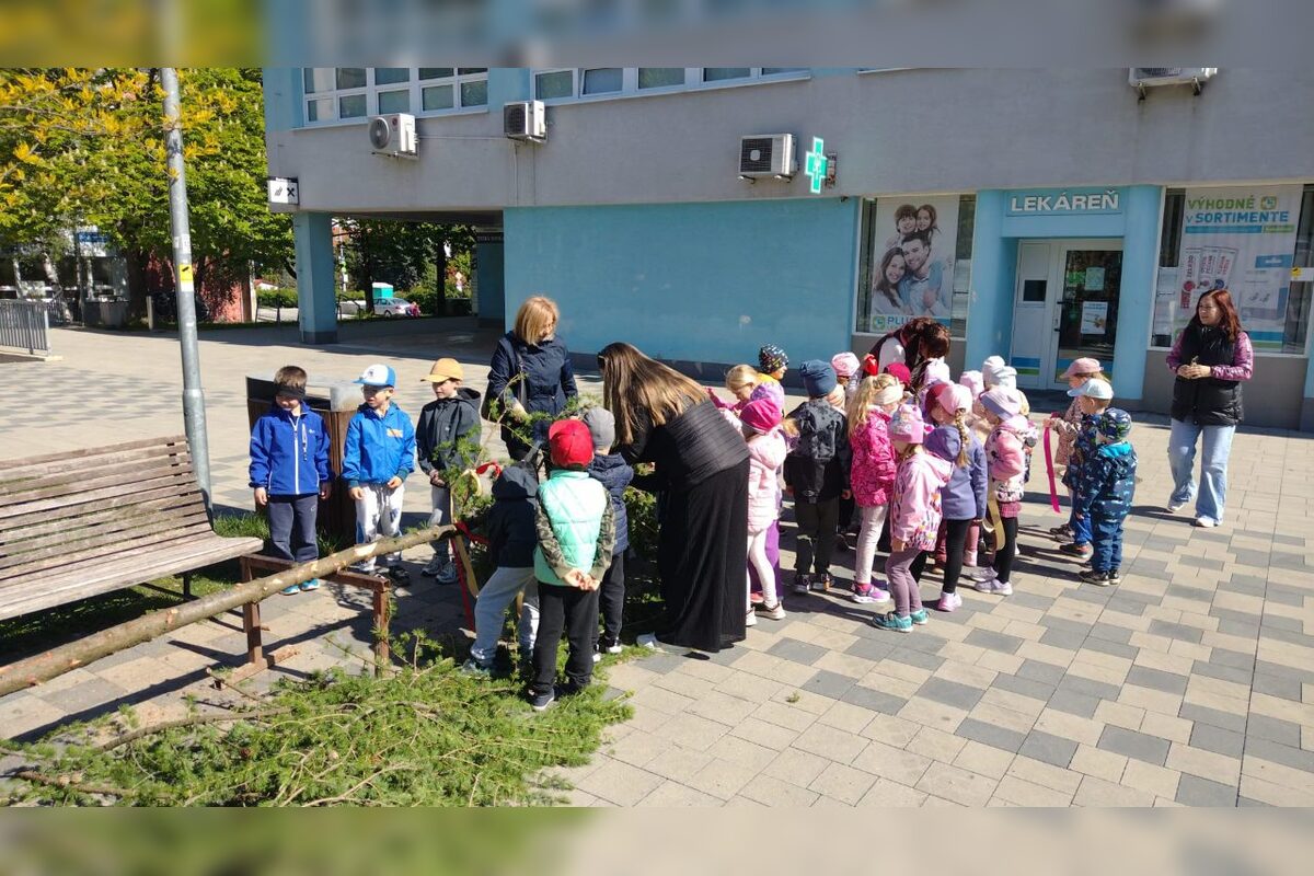 FOTO: Takto vyzeralo stavanie májov v Bratislavskom kraji, foto 40