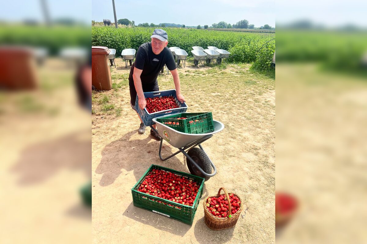 FOTO: Tieto sladké plody môžete mať čoskoro doma, foto 1