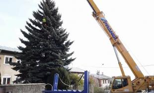 Na Hviezdoslavovom námestí už stojí vianočný stromček, starosta Starého Mesta ho rozsvieti už dnes