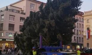 Na Hviezdoslavovom námestí už stojí vianočný stromček, starosta Starého Mesta ho rozsvieti už dnes