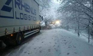 Snehová kalamita zasiahla celé Slovensko, najhoršia situácia je v Bratislavskom a Trnavskom kraji