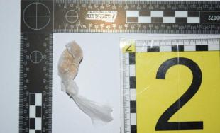 Na Stavbárskej ulici zasahovali policajti, zadržali 6 osôb v súvislosti s drogovou činnosťou