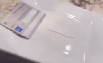 FOTO: Bratislavčanovi Adamovi Ružičkovi hrozí koniec v NHL pre video s bielym práškom