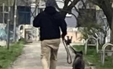 FOTO: Pes v Petržalke napáda okoloidúcich 