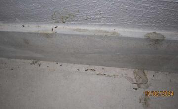 FOTO: Pleseň, exkrementy od hlodavcov aj potraviny po záruke. Toto sú najčastejšie nedostatky prevádzok