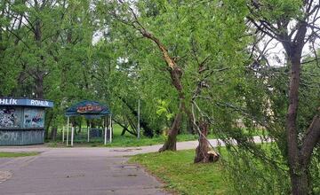 FOTO: Pohroma v Bratislave. Pre silný vietor v meste padajú stromy