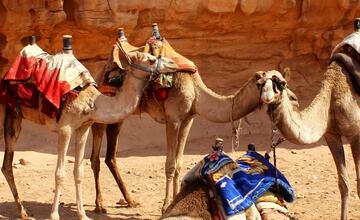 FOTO: Zomrel Pavel Fellner, otec šéfa cestovnej agentúry Ľuboša Fellnera