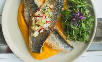 FOTO: Wild Kitchen v Modre varí iba z rýb a byliniek. Jej šéfkuchár Plašiak sa vrátil z USA