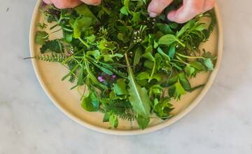 FOTO: Wild Kitchen v Modre varí iba z rýb a byliniek. Jej šéfkuchár Plašiak sa vrátil z USA