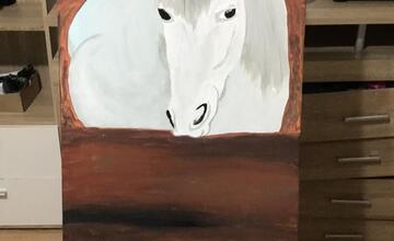 FOTO: Prešovčan Martin zo seriálu Dunaj, k vašim službám. V detstve prežil peklo