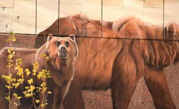 FOTO: Mestá duchov Černobyľ a Pripjať